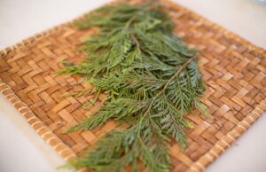 Tree branches on woven mat