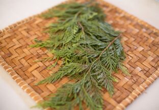 picture of placemat with cedar