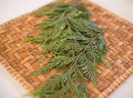 picture of placemat with cedar