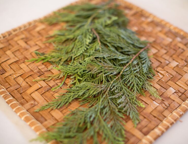 picture of placemat with cedar